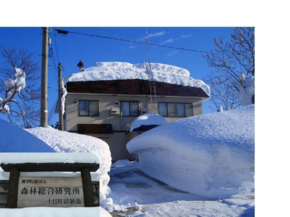 便り；G授業；祝HP；ランゲル；W大；南極便り；実習；氷山CM；航空気象；大山雪；十日町；伊吹山: 氷河と雪氷圏の探索