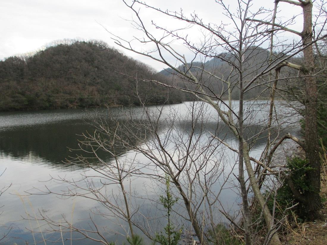 鳥取力;八幡池;吹屋;銅山;PM2;開花;満開;鳴石;古地図;風土館;岡山森;神庭滝;鬼穴: 氷河と雪氷圏の探索